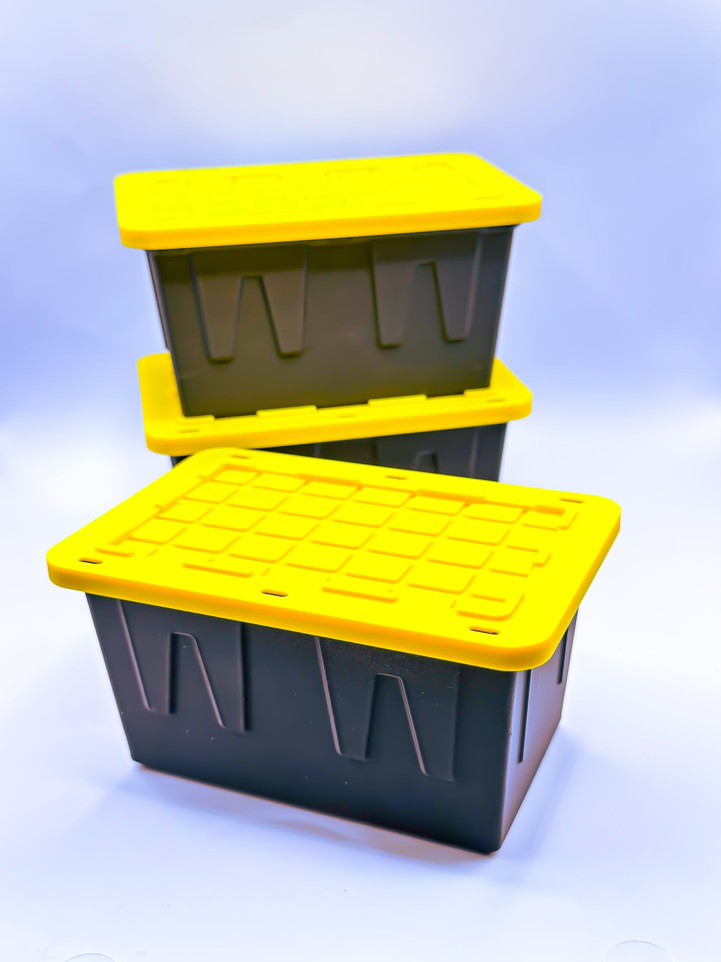 Mini Totes And Storage